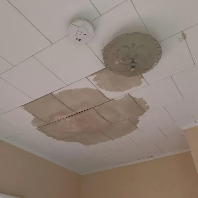 Ceiling Water Damage Repair in Shavertown, PA