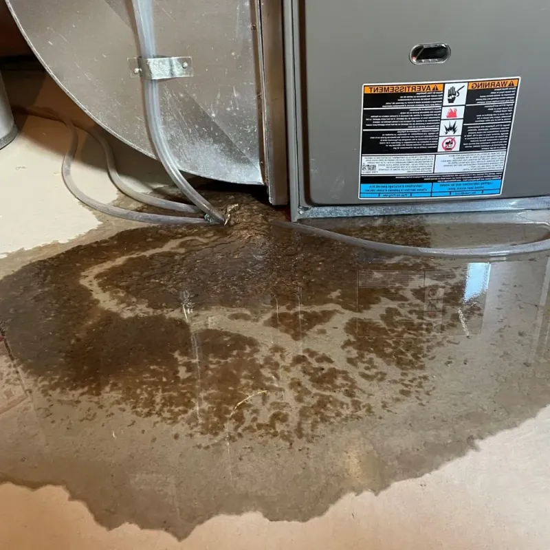Pipe Burst and Leak Restoration in Shavertown, PA