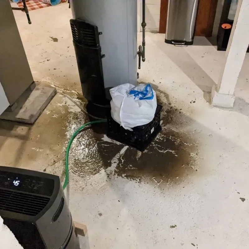 Sewage Backup Cleanup Service in Shavertown, PA
